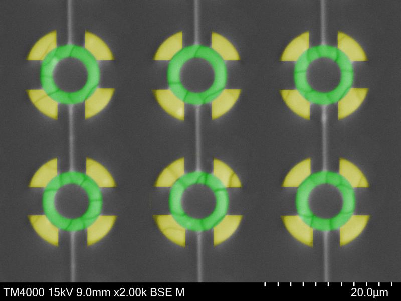 Six identical green and yellow circular objects