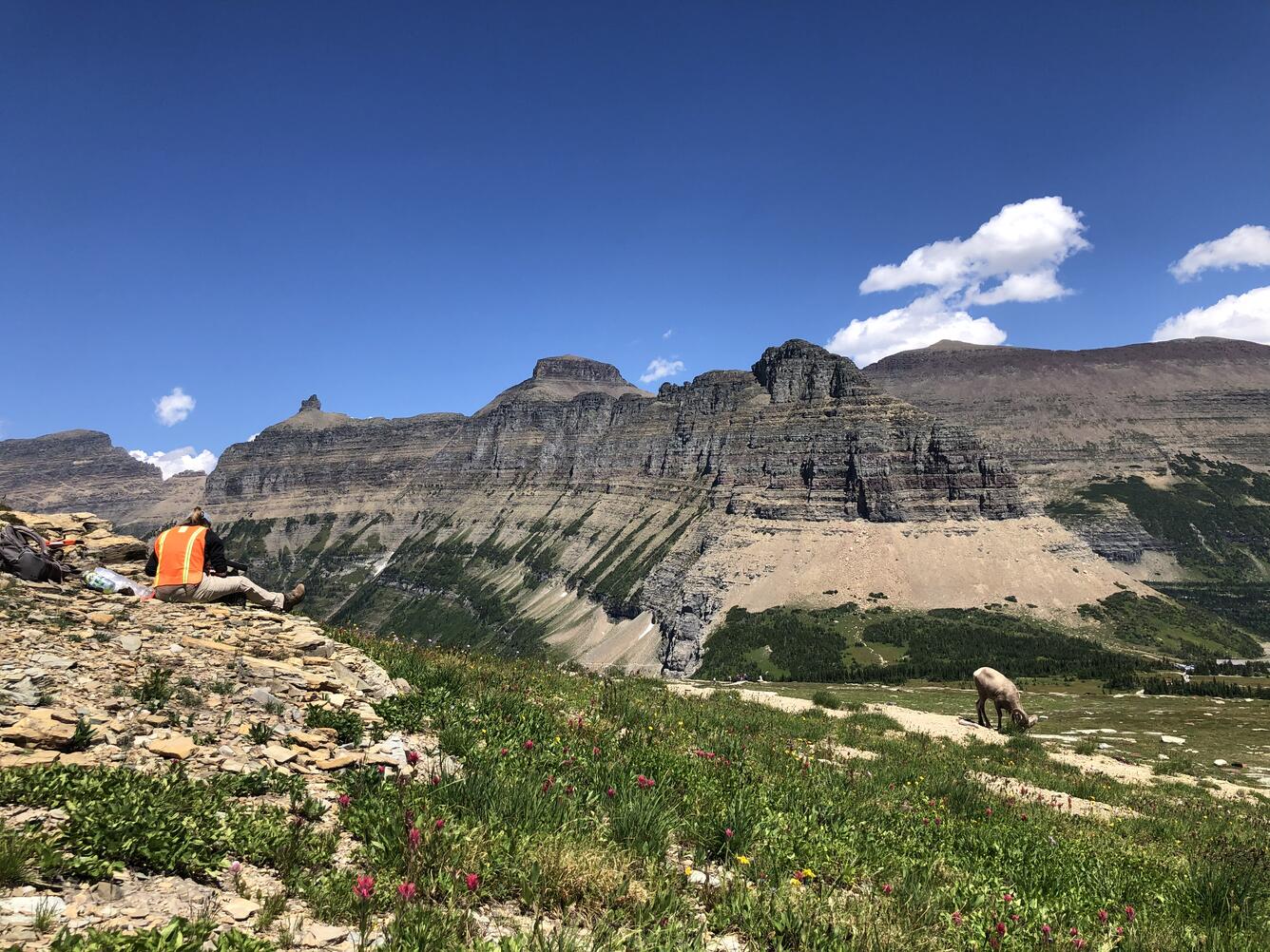 Monitoring in Glacier National Park