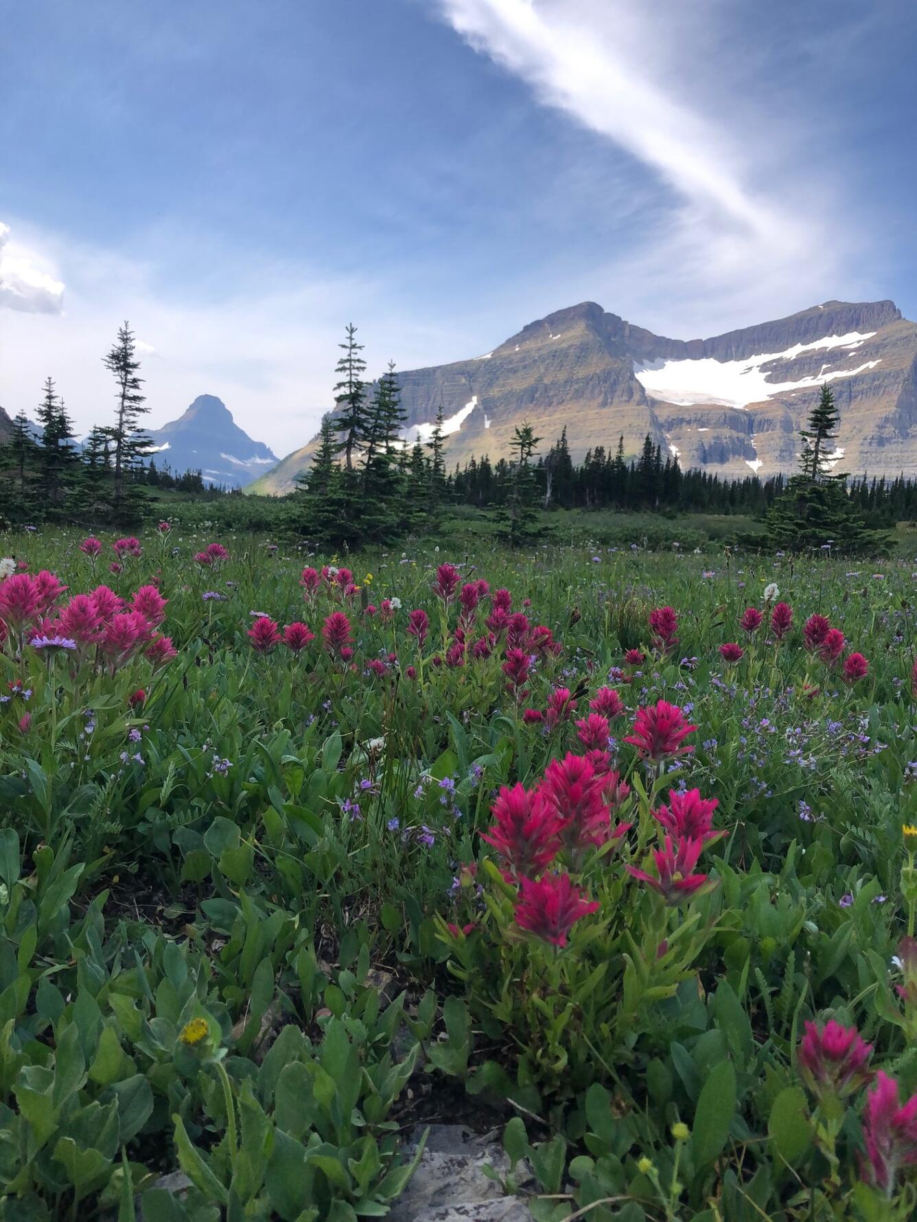 Glacier National Park